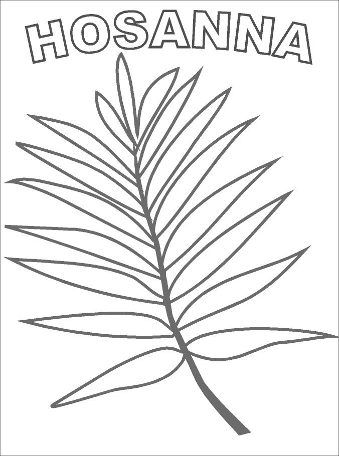 Palm branch to decorate coloring